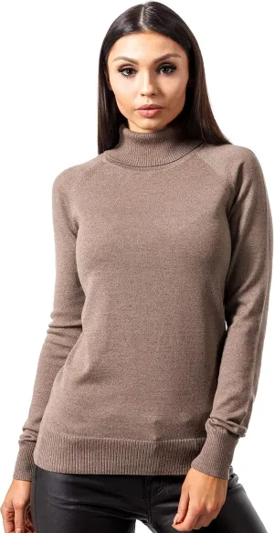 Women's Cashmere Soft Merino Wool Turtleneck 310gr Sweater Pullover Top